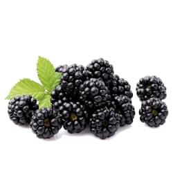 Blackberry My Flavor Blackberry My Flavor