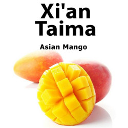 Asian Mango Xian Taima Asian Mango Xian Taima